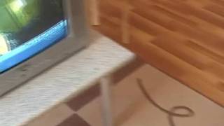 Una muy buena que adora el sexo