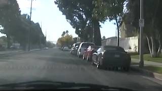 Lauren A- La morena culona en acción