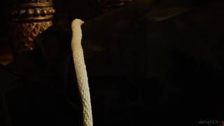 Aletta Ocean, penetrada en su casa