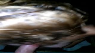 Mamando polla por más de mdia hora