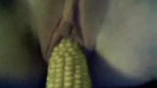 Hoy veremos a una zorra gozando en cámara