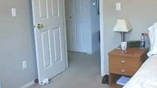 Se masaturba en la webcam para que la vean