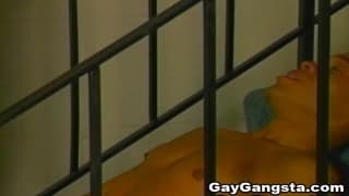 Esta pareja de gays negros quieren placer