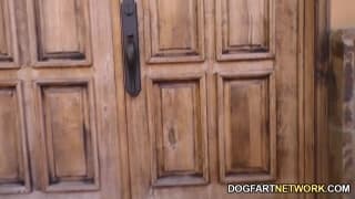 Casey Calvert adora follar con negros