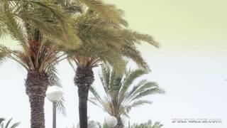 Erica Fontes y Tiffany Doll follando en grupo