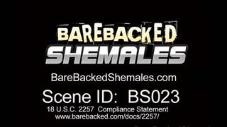 Un trío sabroso con el que disfrutaremos