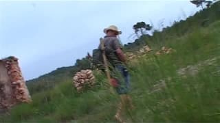 Una rica sodomía al aire libre para la morena