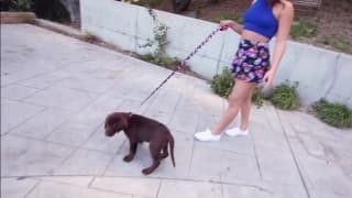 Abella Danger se dejará coger por este negro