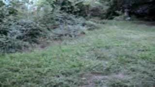 Caricias femeninas en medio de la naturaleza