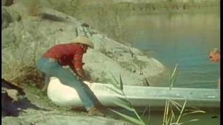 Una pareja de vaqueros follando en un paseo