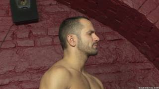 El sabro de esta polla lo deja muy excitado El sabro de esta polla lo deja muy excitado