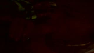 Esta puta se deja coger por un negro en casa