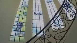 Verifica tu edad