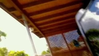 Se pone al aire libre para gozar al máximo