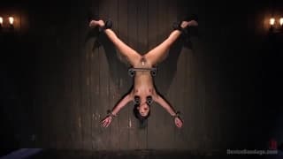 Disfruta follando amarrada de cabeza