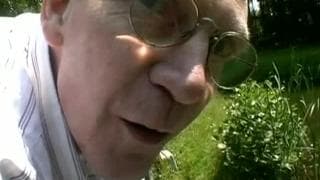 Esta perra se deja follar sobre la hierba