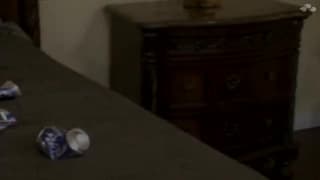 Verifica tu edad