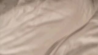 Verifica tu edad