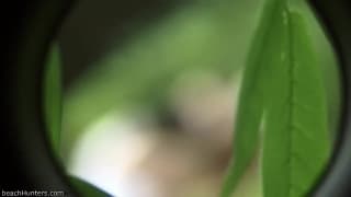 Verifica tu edad