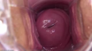 Ella sabe que se merece mucho placer dentro de su coño en este porno