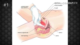 How2fuck: 50 técnicas para cogerse un coño