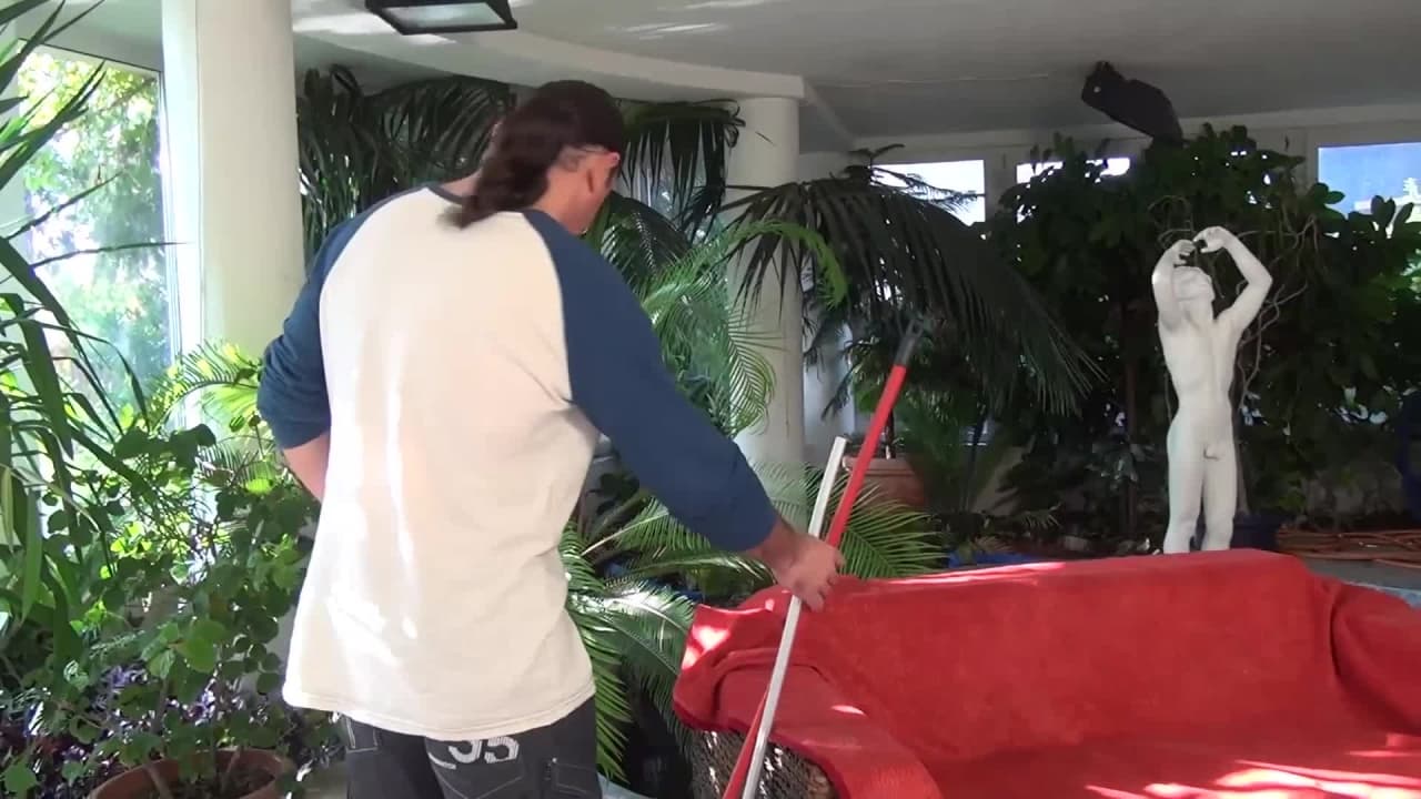 Verifica tu edad