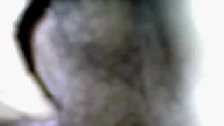 Un trasero peludo se desnuda para ti!