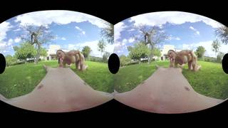 Sara se exhibe se masturba y se pone de rodillas para sentir una polla