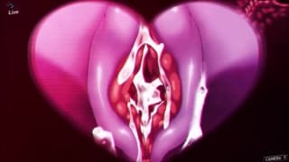 Ser follada por una sexy alienígena rosa Ser follada por una sexy alienígena rosa