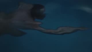 Verifica tu edad