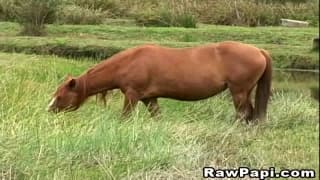 En la hacienda se hacen el mejor sexo anal