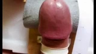 Un instrumento para hacerse la paja. Genail!