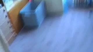 Verifica tu edad
