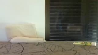 Verifica tu edad