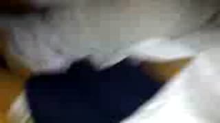 Verifica tu edad