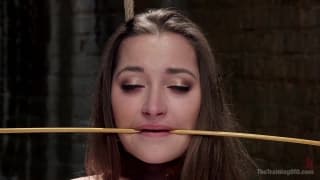 Dani Daniels divinamemnte sometida hoy Dani Daniels divinamemnte sometida hoy