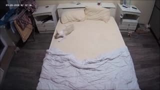Lola se la pasa increíble con su novio en la cama Lola se la pasa increíble con su novio en la cama