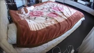 Verifica tu edad