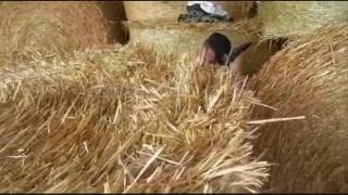 Pareja de abuelos follando en el granero