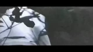 Verifica tu edad