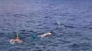 Sexo intenso y sabroso bajo el agua del mar