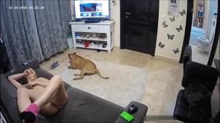 Ven un poco de pornografía e la TV y se ponen muy cachondos