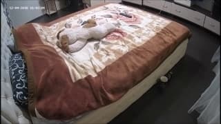 La pareja hace el sexo en 69 por placer