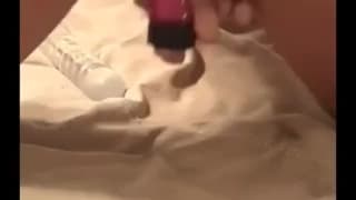 Verifica tu edad