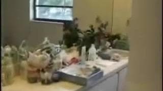 Verifica tu edad