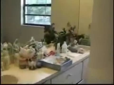 Verifica tu edad
