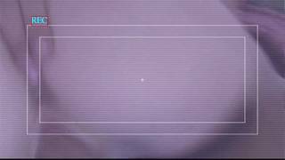 Una hermosa animadora en acción con una polla en el coño