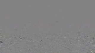 Alexis Adams en un sexy Mago de Oz