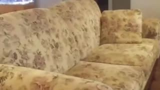Verifica tu edad