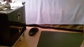 Cuando los vecinos follan todo el edificio los oye